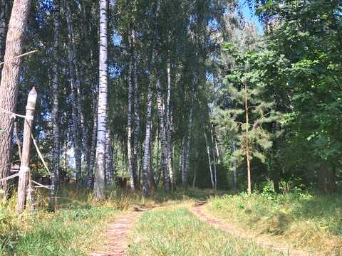 будинок за адресою лісова, 117
