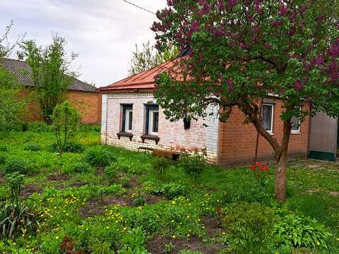 дом по адресу Миру, 17