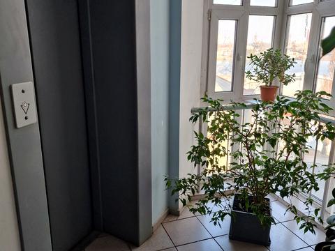 квартира за адресою Турівська вул., 31