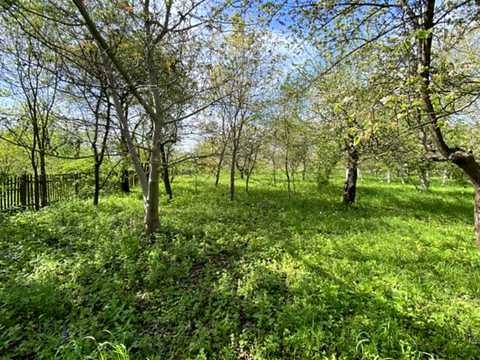ділянка за адресою Підлісна, 15а