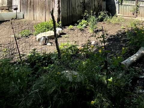 1832291298128922