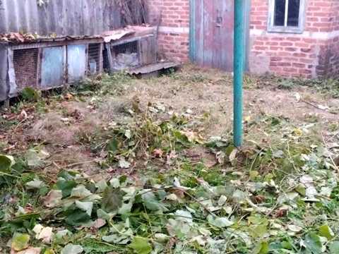 дом по адресу Единства, 72