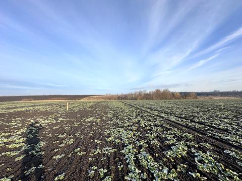 участок по адресу с. Глуховичи,