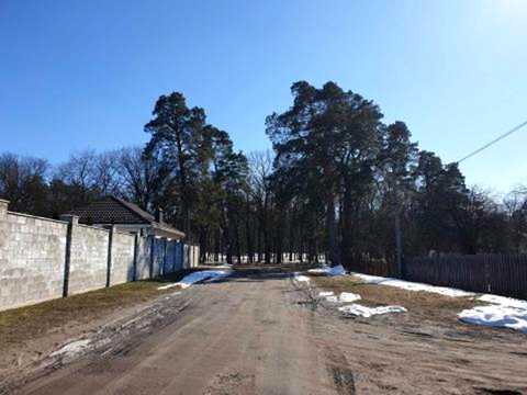 ділянка за адресою Урочище Святе вул. (Пролетарський Гай), 14