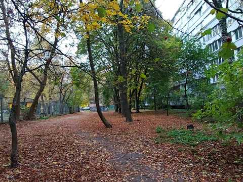 квартира за адресою Новогоспітальна вул. (Щорса пров.), 5-А