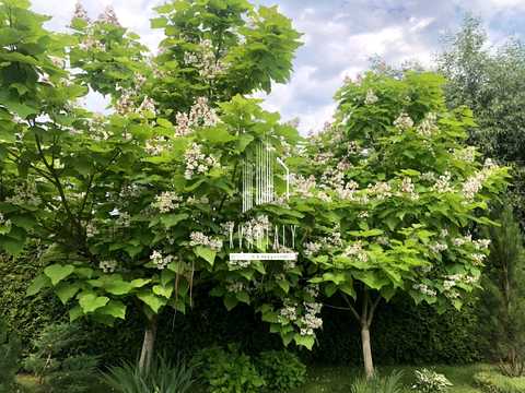 будинок за адресою Лесі Українки