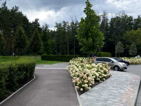комерційна за адресою Соборна вул., (2-К/2)