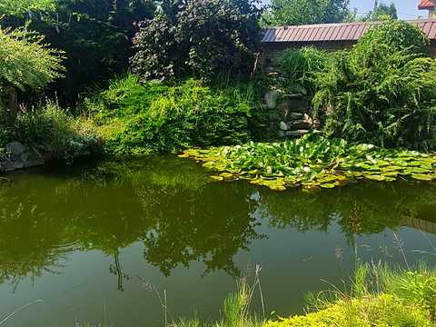 дом по адресу Степана Бандери, 2