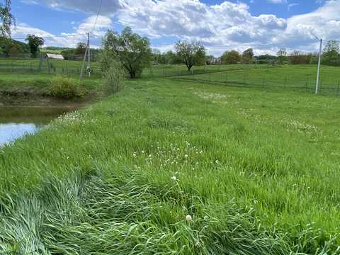 ділянка за адресою с. Тисовець, Пантівська