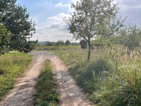 ділянка за адресою Світла