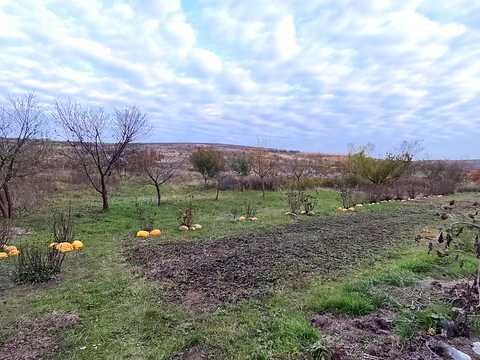 ділянка за адресою 