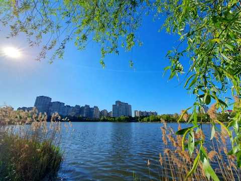 квартира за адресою Миколи Бажана просп., 1-М
