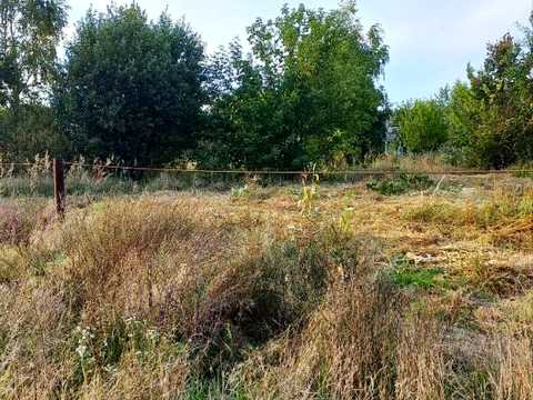 участок по адресу Панаса Мирного, 53