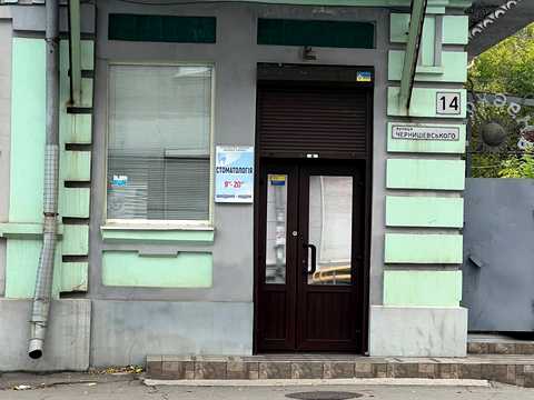 комерційна за адресою Архітектора Олега Петрова вул. (Чернишевського), 14