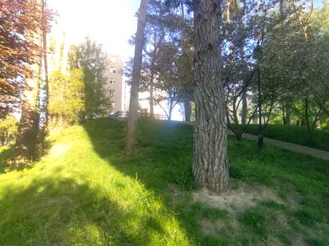 квартира по адресу Валерия Лобановского ул., 29