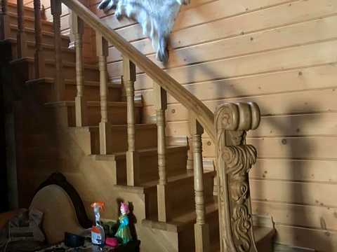 будинок за адресою с. Грибівка, Приморская