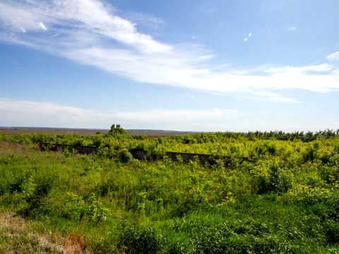 ділянка за адресою с. Крупа, 