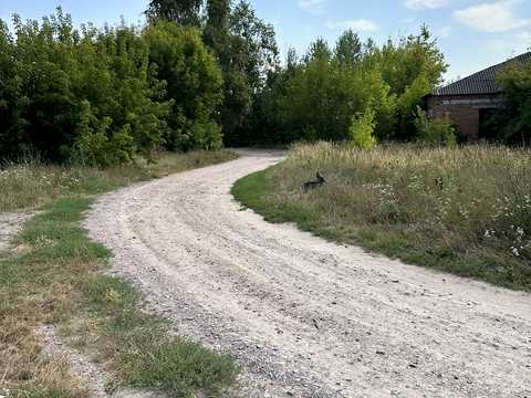 участок по адресу Ігнатова