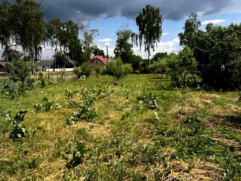 ділянка за адресою Івана Франка, 35