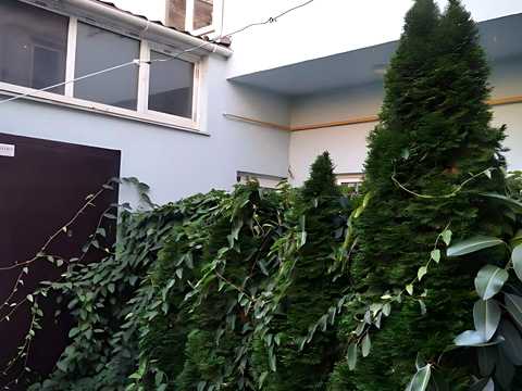 квартира за адресою Велика Арнаутська вул., 61
