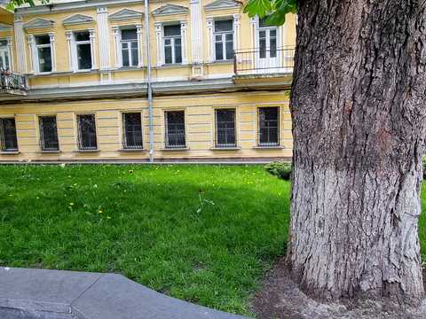 коммерческая по адресу Богдана Хмельницкого ул., 29/2