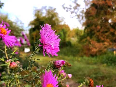 участок по адресу 8 лінія, 54
