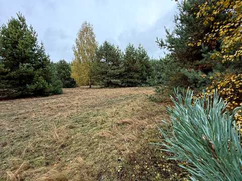 ділянка за адресою с. Абрамівка, 