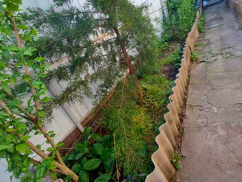 будинок за адресою Курортна вул. (Бутоми)