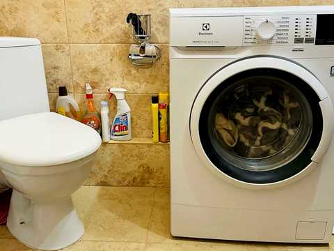 квартира за адресою Мирна вул., 19