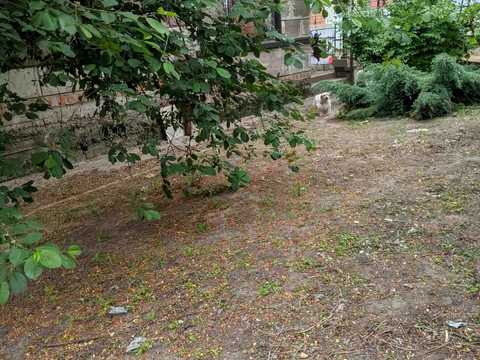 будинок за адресою Дніпро, Оранжева вул., 76