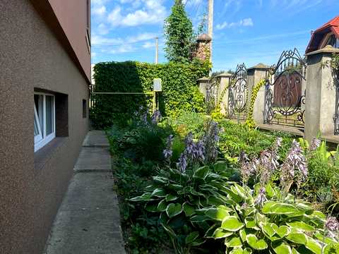 будинок за адресою смт. Великий Березний, Болудянського
