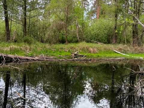 ділянка за адресою Підлісна вул.