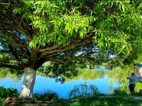 участок по адресу Сонячна