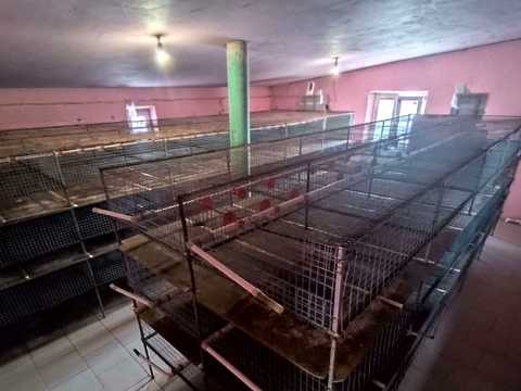 комерційна за адресою с. Старокозаче, Центральна, 20