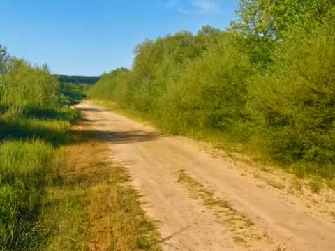 ділянка за адресою с. Терновиця, 