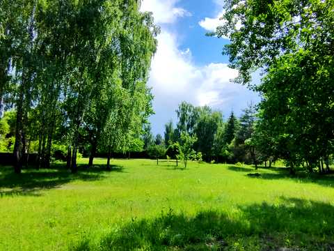 ділянка за адресою Центральна вул., 777