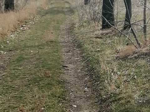 1794058967888003