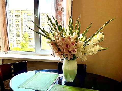 квартира по адресу Ковпака ул. (Ковпака), 54