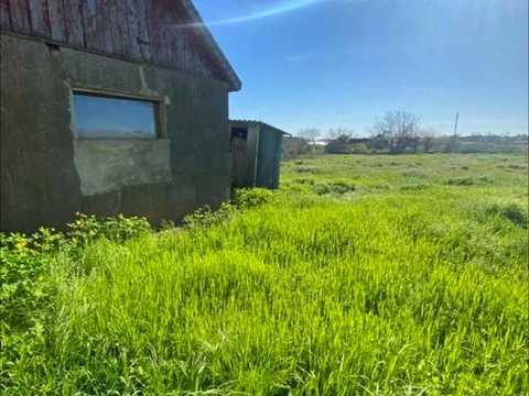 дом по адресу Виноградна ул. (крупської)