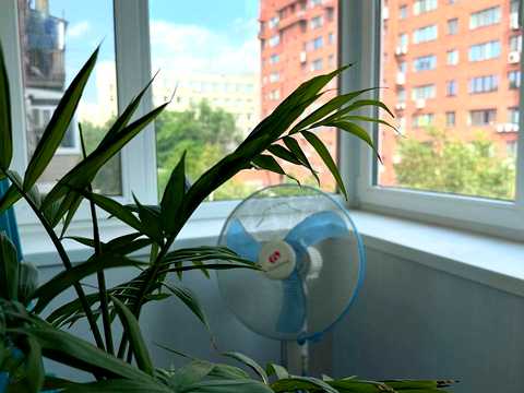 квартира за адресою Старокозацька вул. (Комсомольська), 52-А