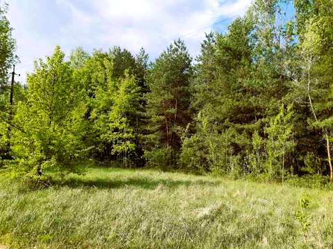 ділянка за адресою с. Грабинівка, Соснова