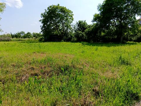 ділянка за адресою с. Кам'янопіль, Грушевського, 1