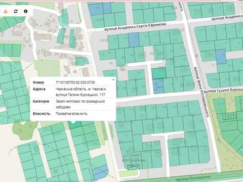 участок по адресу Галини Буркацької, 117