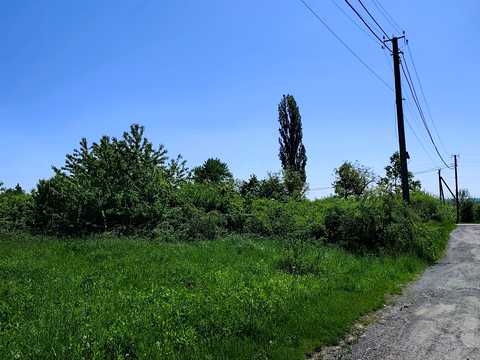 ділянка за адресою Рибна