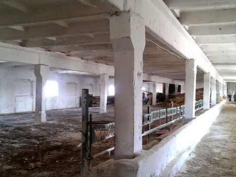 комерційна за адресою нова, 1