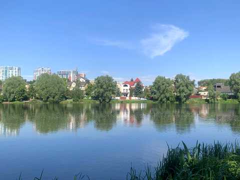 ділянка за адресою Берегова