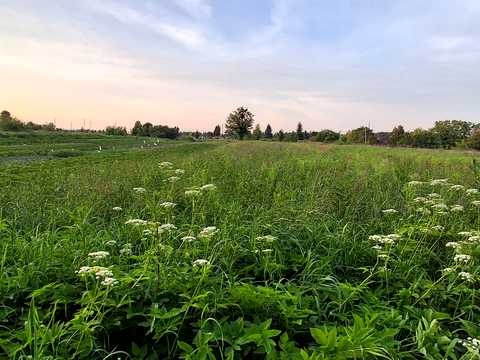 участок по адресу Игнатия Лукасевича ул.