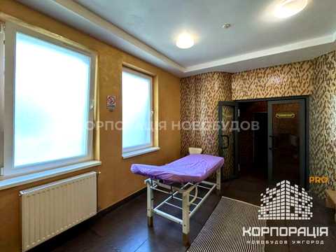 коммерческая по адресу Івана Чендея ул. (Льва Толстого), 27