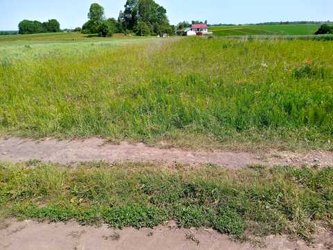 ділянка за адресою Нове село