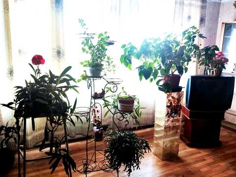 будинок за адресою 5-та Слобідська вул.